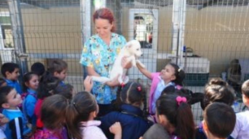 Barınak Dostu minik &ouml;ğrenciler