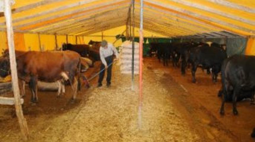 Canik&rsquo;te Kurban Satış Yeri Hazır