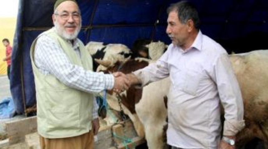 &Ccedil;ankırı&rsquo;da Kurbanlıklar Pazara İndi