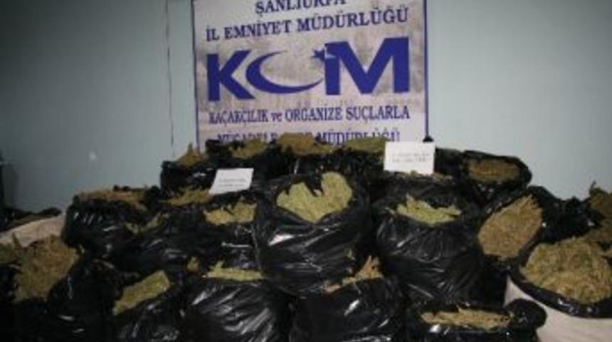 Şanlıurfa&rsquo;da 442 Kilo 60 Gram Esrar Ele Ge&ccedil;irildi