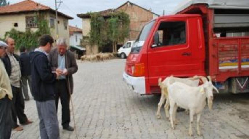 Kurabanlıklar Sıkı Denetimden Ge&ccedil;iyor