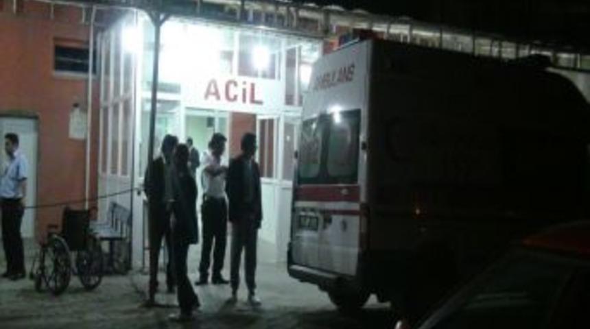 Pikap Ineğe &Ccedil;arptı: 2&rsquo;si Ağır 5 Yaralı