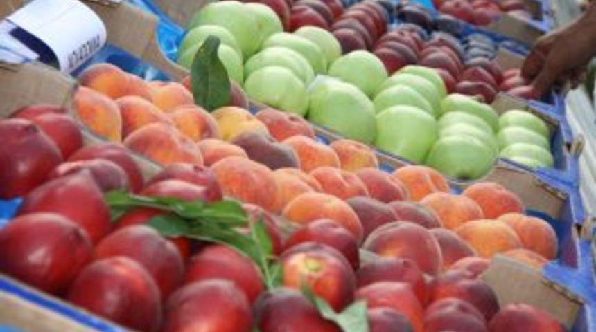 &lsquo;T&uuml;rkiye meyve cenneti oluyor&rsquo;