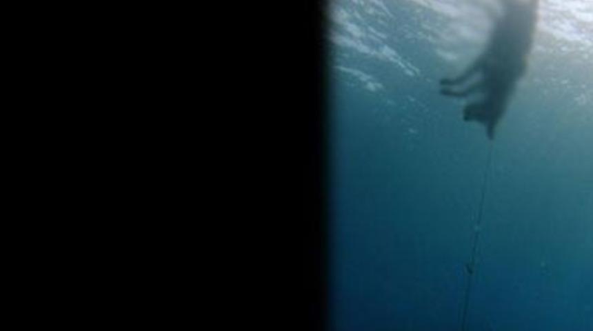 K&ouml;peği taş bağlayıp denize attılar