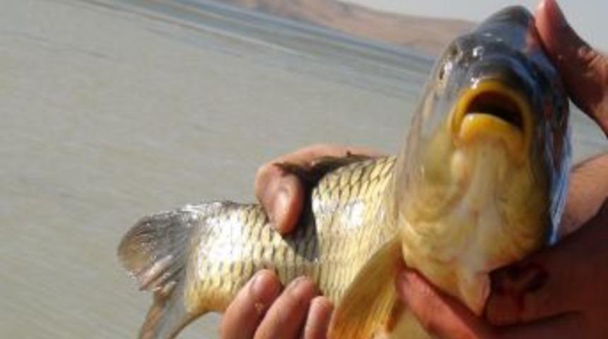 Bitlisli Haftanın Yorgunluğunu Nazik G&ouml;l&uuml;'nde Atıyor