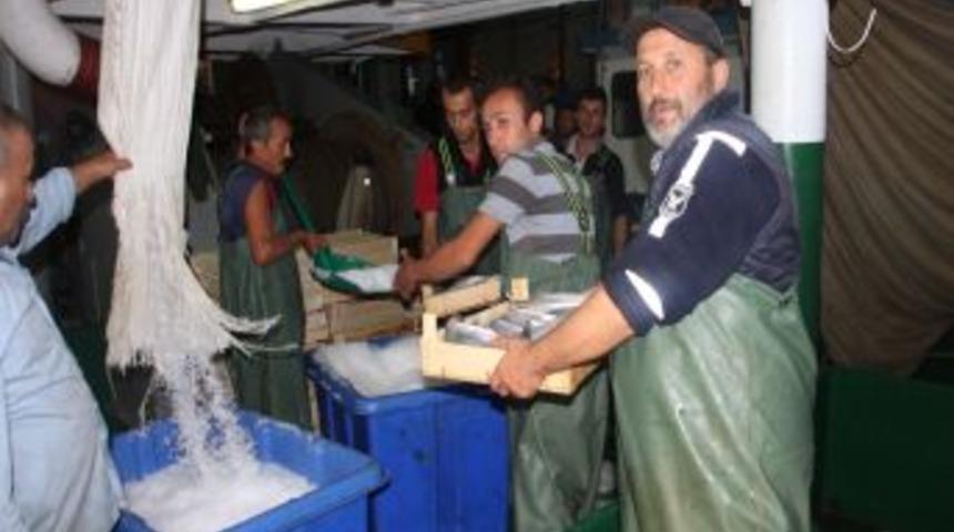 Ereğli'de Palamut Bolluğu