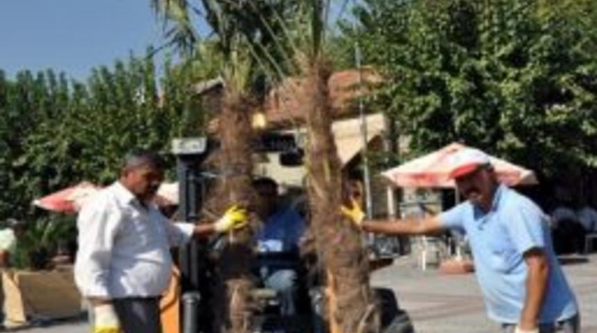 Gaziemir'de Tarihi Meydana Yeşil Dokunuş