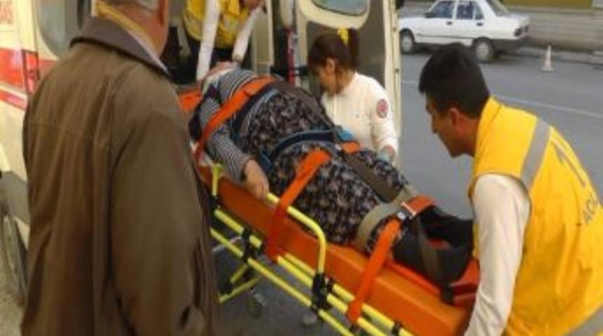 Ceviz Ağacından D&uuml;şen Kadın Hastanelik Oldu