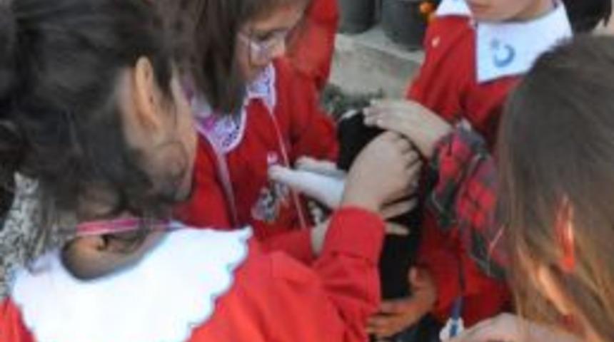Ana Okulu &Ouml;ğrencilerinden Hayvan Bakımevine Ziyaret