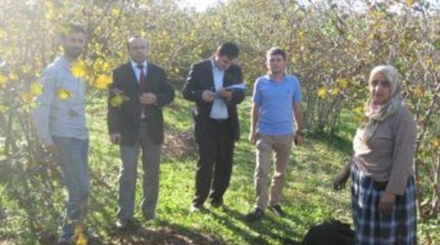 D&uuml;zce&rsquo;de Organik Tarım Eğitimleri Devam Ediyor