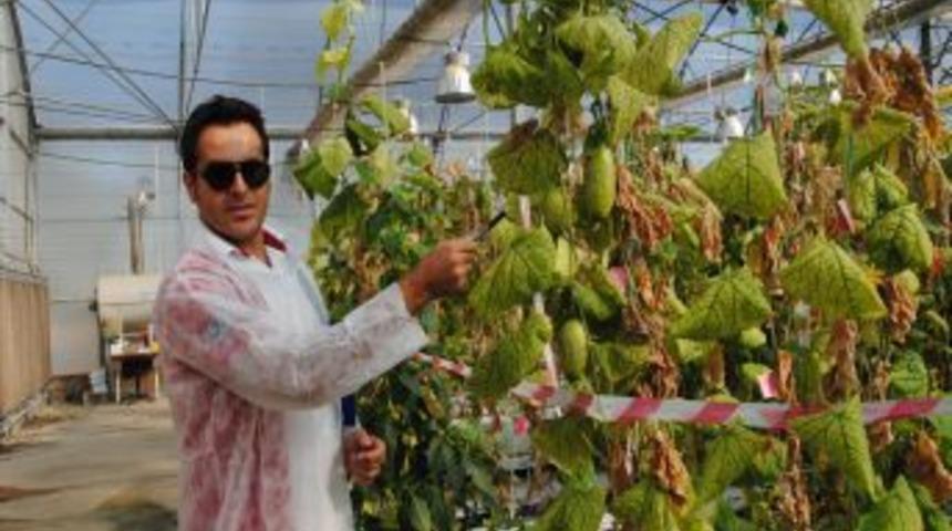 Nunhems Satış M&uuml;d&uuml;r&uuml; Remijnse: Tohumculukta Yıllık Ciromuz 300 Milyon Lira