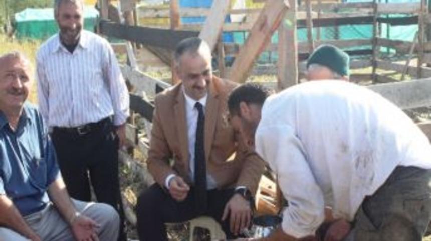 Of&rsquo;ta Kurban Satıcıları &Ccedil;amurdan Kurtuldu