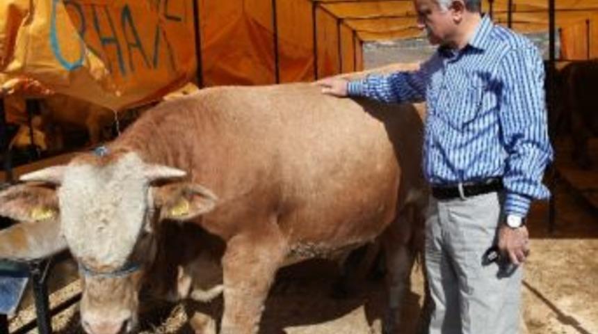 Bayraklı Bayrama Hazır