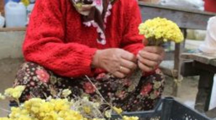 Dudiye Gelir Kapısı Oldu