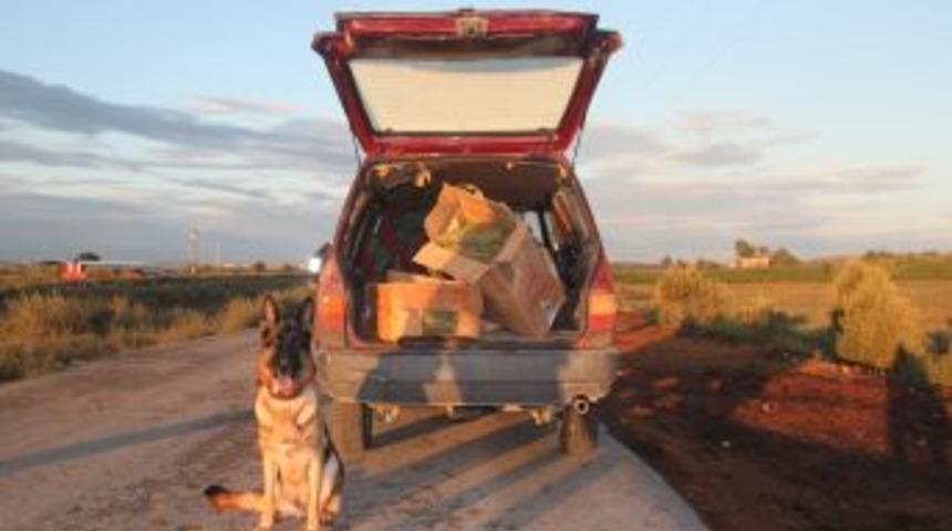 Adana'da Ter&ouml;r &Ouml;rg&uuml;t&uuml; Bağlantılı 50 Kilogram Esrar Ele Ge&ccedil;irildi