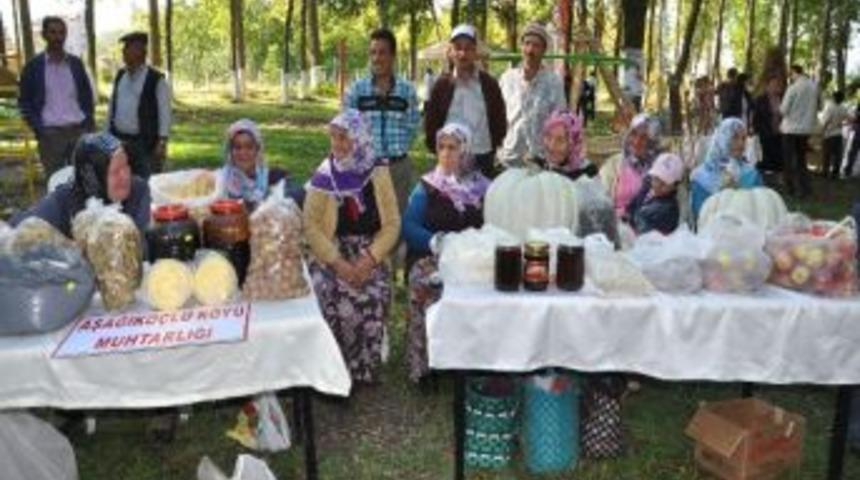 Ala&ccedil;am&rsquo;da Hasat Panayırı