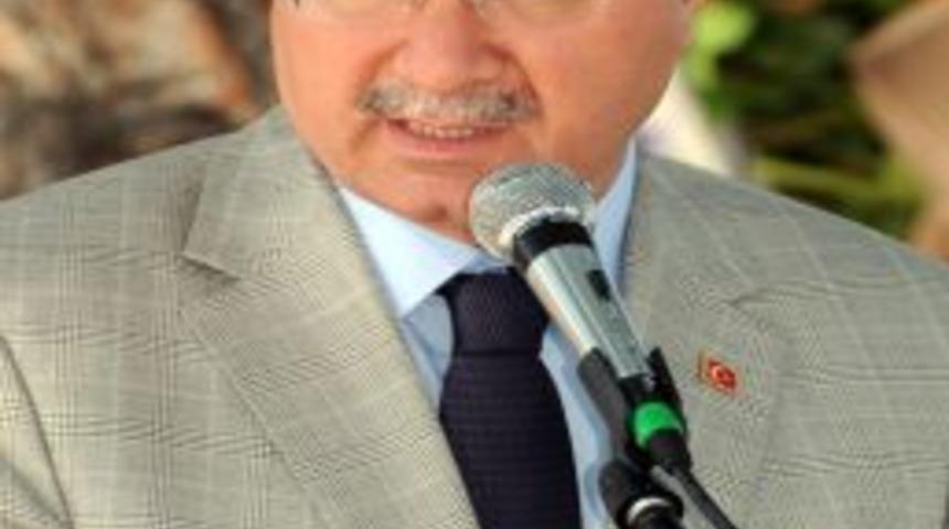 Zeytin Hasat Sezonu Manisa'nın Akhisar Il&ccedil;esinde Başladı