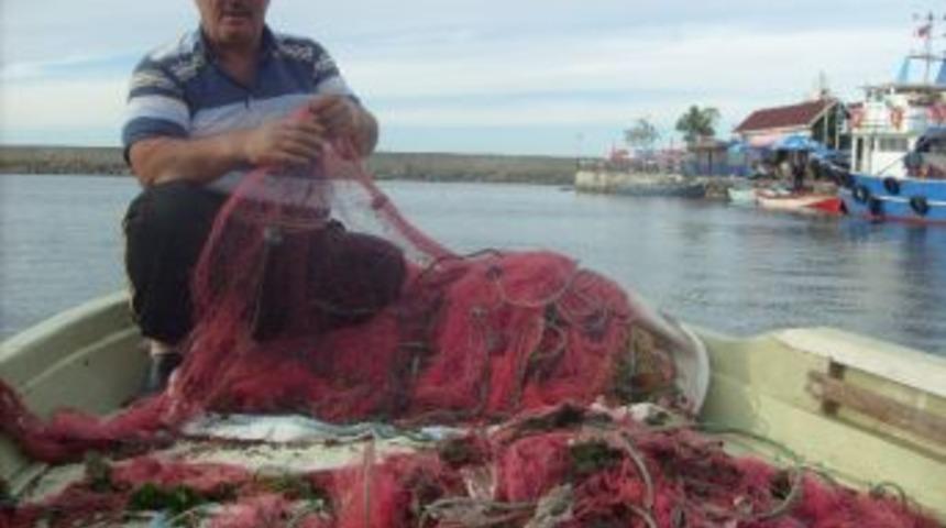 Palamut Gitti K&uuml;&ccedil;&uuml;k Balık&ccedil;ı Bitti