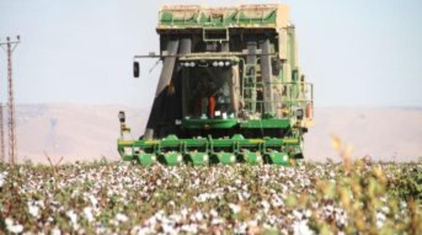 Kız &Ccedil;ocularının Okula Gitmesi I&ccedil;in 600 Bin Dolara Bi&ccedil;erd&ouml;ver Aldı