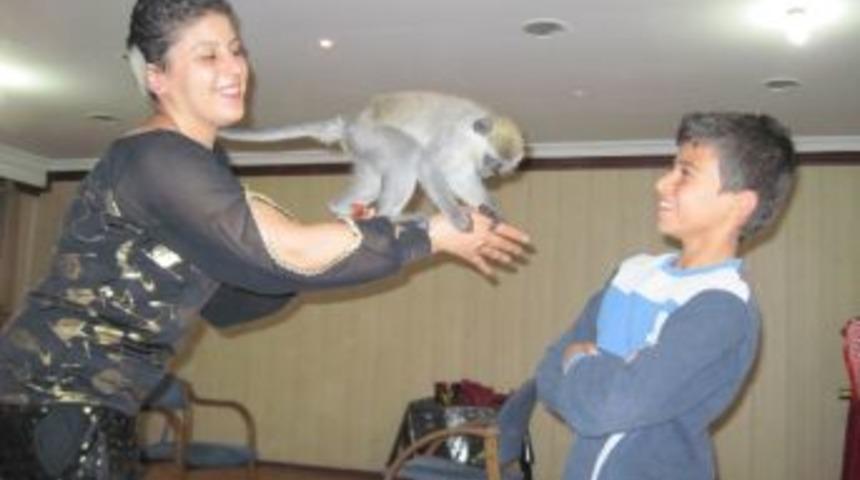 Derik&rsquo;te Sirk G&ouml;sterisi