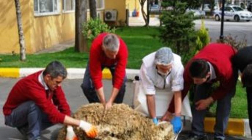 Didim&rsquo;de Kurban Hizmetleri Komsiyon Kararı A&ccedil;ıklandı