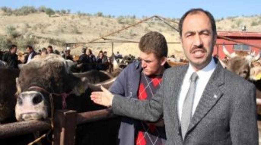 Hayvan Pazarlarında Denetimler Sıklaştırıldı