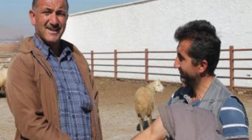 Kırşehir&rsquo;de Kurban Bayramı Hazırlıkları Başladı