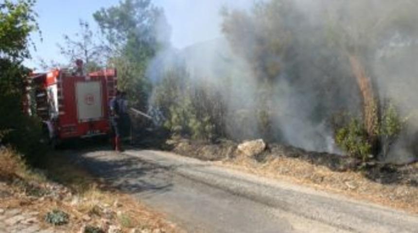 Kemalpaşa&rsquo;da Ot Yangını Korkuttu