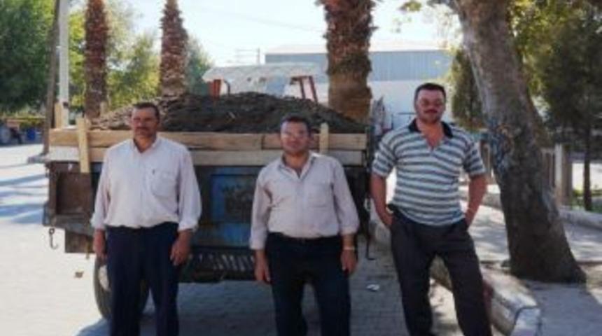 Sarıg&ouml;l&rsquo;de Hayvan G&uuml;bresi Satışlarına Başlandı.