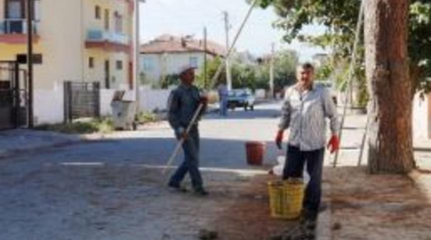Sarıg&ouml;l Belediyesi, Fıstık &Ccedil;amından Gelir Sağladı