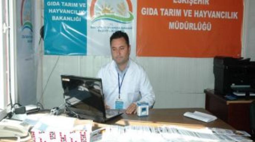 TURKVET Kaydı Olmayan Kurbanlıkların Satışına Izin Verilmeyecek