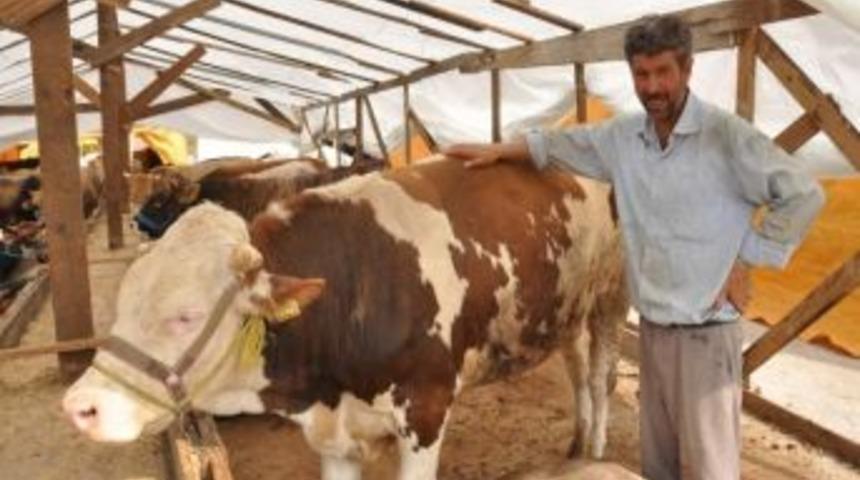 Kartepe Kurban Pazarı'nda Beklentiler Y&uuml;ksek