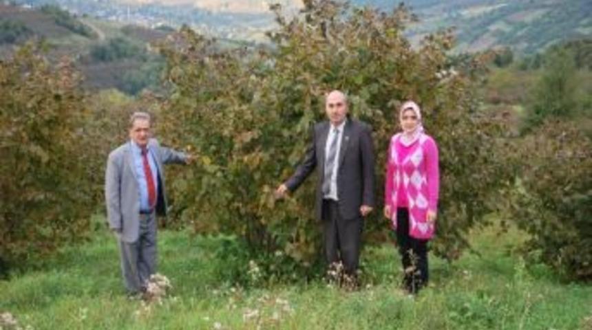 19 Mayıs&rsquo;ta Organik Tarım &Ccedil;alışması