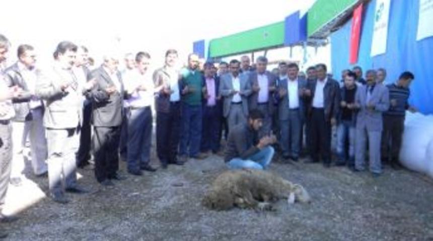 T&uuml;rkiye&rsquo;nin 4 K&uuml;spe Paketleme Tesisinin İkisi Yozgat&rsquo;ta