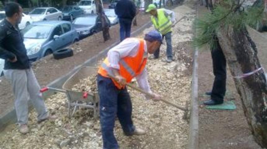 &Ccedil;ankaya Belediyesi, Şimşek Sokak'ı Yeniliyor