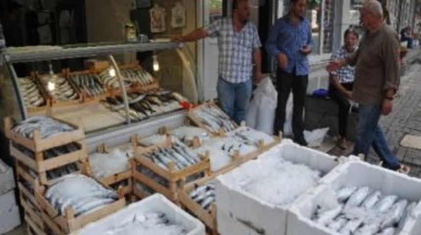 Karadenizli Balık&ccedil;ılar Palamuta Doydu