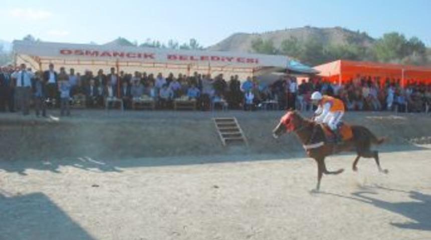 Osmancık'ta at yarışları