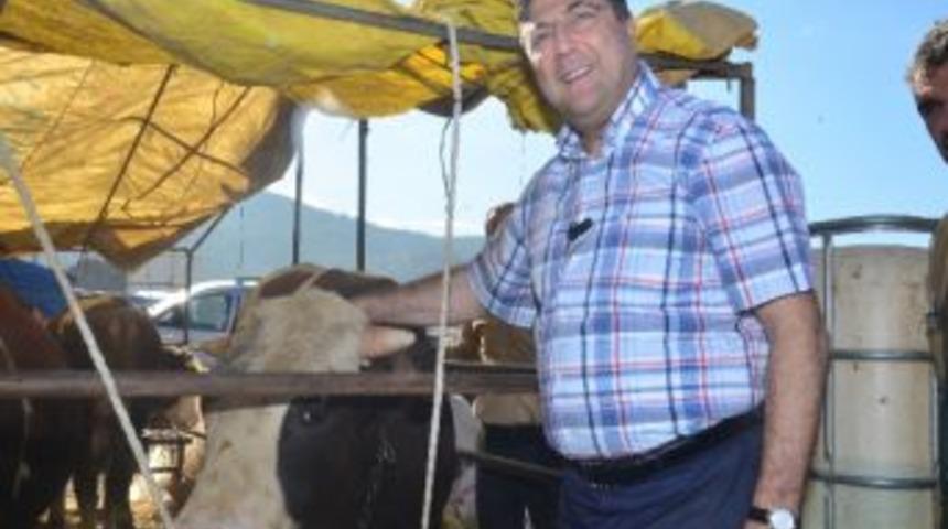 (&ouml;zel Haber) Ka&ccedil;an Kurbanlıkları Yakalama Timi İş Başında