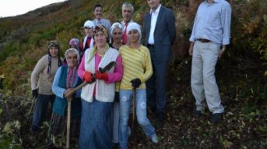 Karadeniz Kadınlarından Hatıra Ormanı