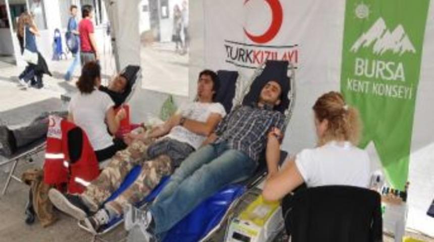 Damlaya Damlaya Can Olur