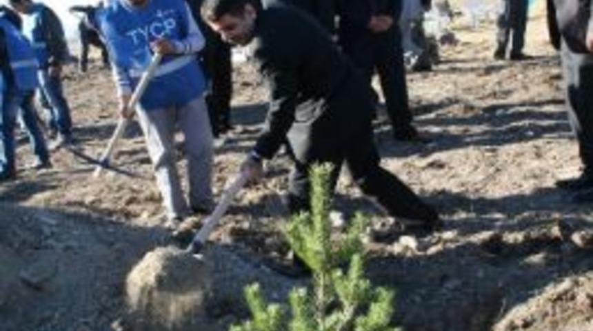 Kars&rsquo;ta 2 Bin Fidan Toprak Buluştu