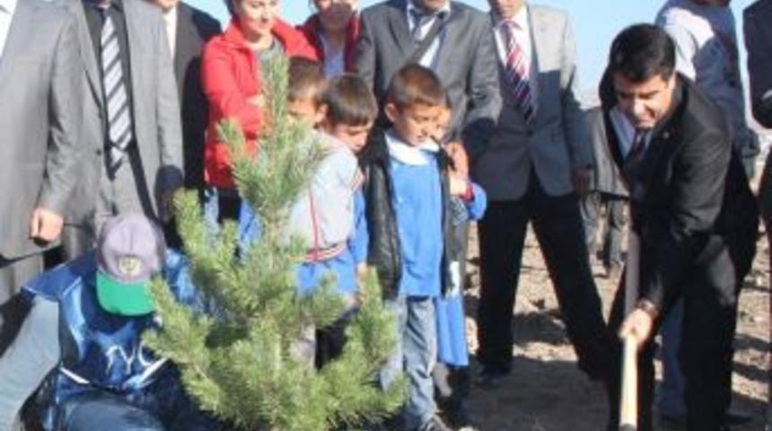 Protokol, Öğrencilerle Fidan Dikti