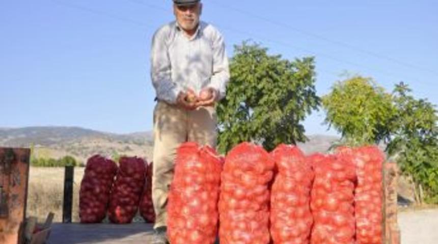 Soğan Üreticileri Yol Kenarlarında Satış Yapmaya Çalışıyor