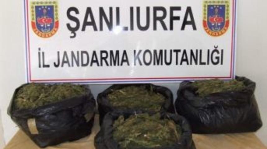 Şanlıurfa'da 218 Kilo 455 Gram Esrar Ele Ge&ccedil;irildi