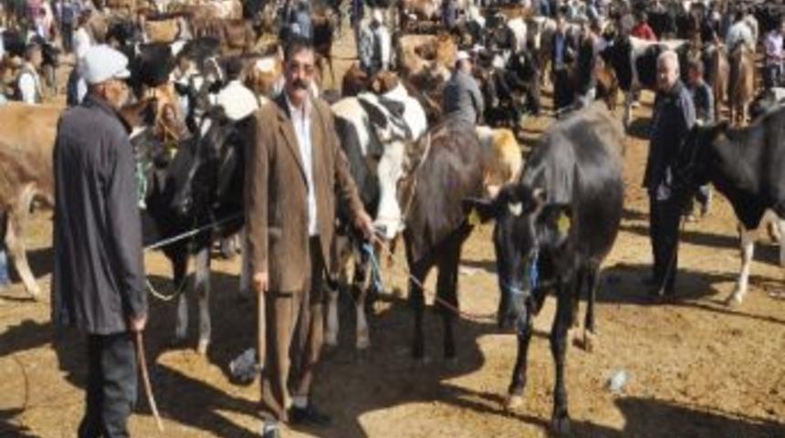 Besici D&uuml;ş&uuml;k Fiyattan, Vatandaş Y&uuml;ksek Fiyattan Yakındı