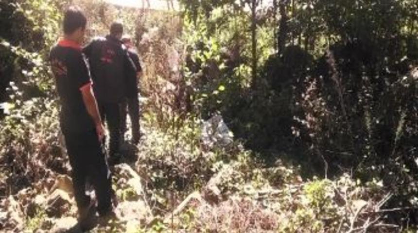 Artvin'de Trafik Kazası: 1 &Ouml;l&uuml;, 2 Yaralı