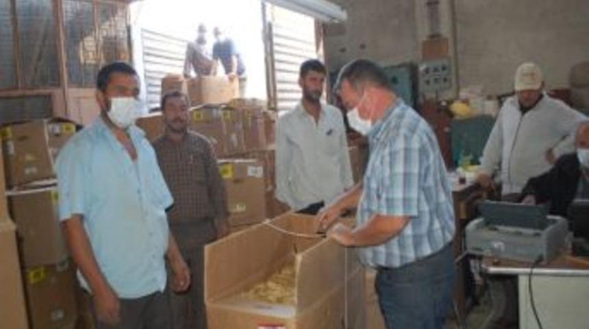 G&ouml;rdes&rsquo;te 2012 T&uuml;t&uuml;n Piyasası A&ccedil;ıldı