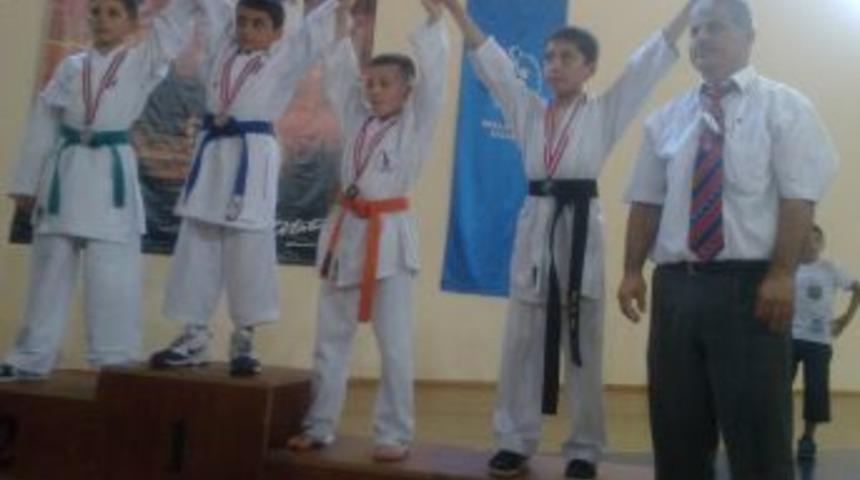 Gen&ccedil; Karateciler, Madalya Abonesi