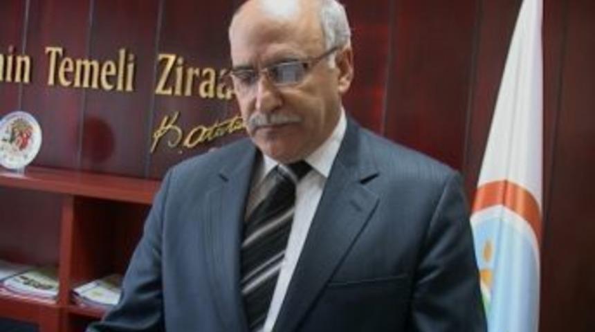 Malatya&rsquo;dan Diğer İllere Giden Kurbanlık Miktarında Artış