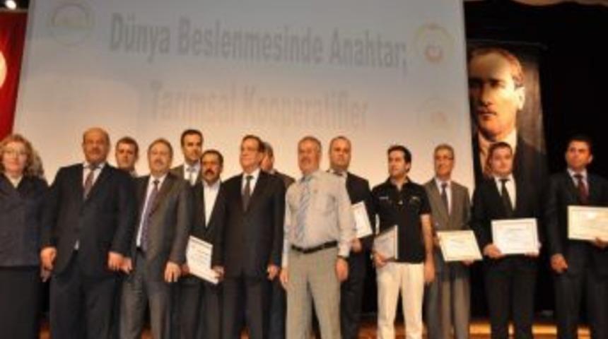 Antalya'da 12 Firmaya Teşekk&uuml;r Belgesi